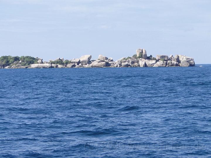DSC01626.jpg