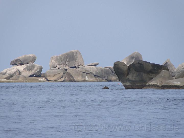 DSC01684.jpg