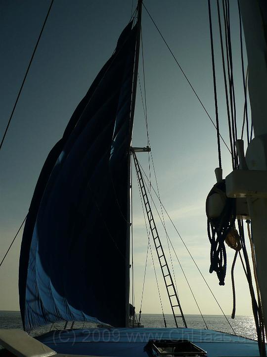 P1010432.jpg