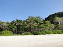 DSC01800
